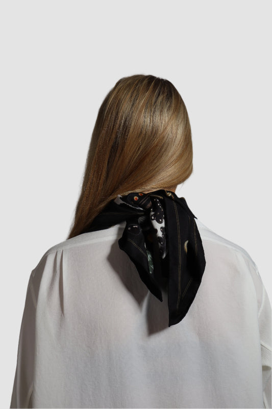 Entreés à la SILOISÉ 63